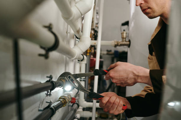 Best Local Plumber Services  in Dexter, MI