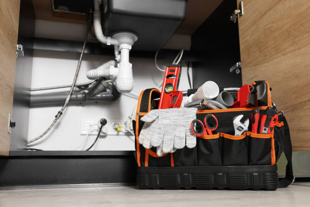 Best Clogged Drain Plumber  in Dexter, MI
