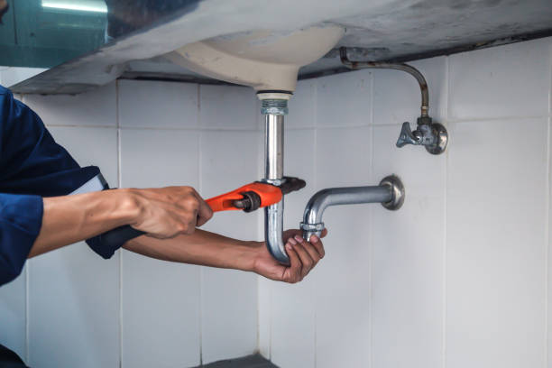 Best Water Leak Repair  in Dexter, MI