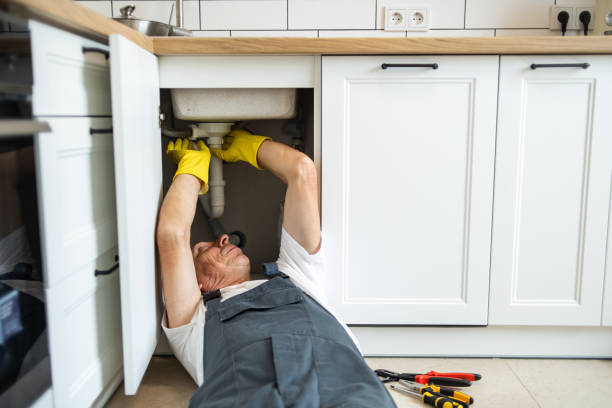 Best Leak Detection Services  in Dexter, MI