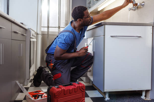 Best Plumbing Services Near Me  in Dexter, MI